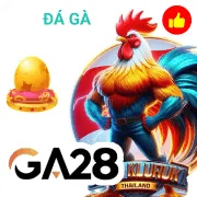 100vip Game 12